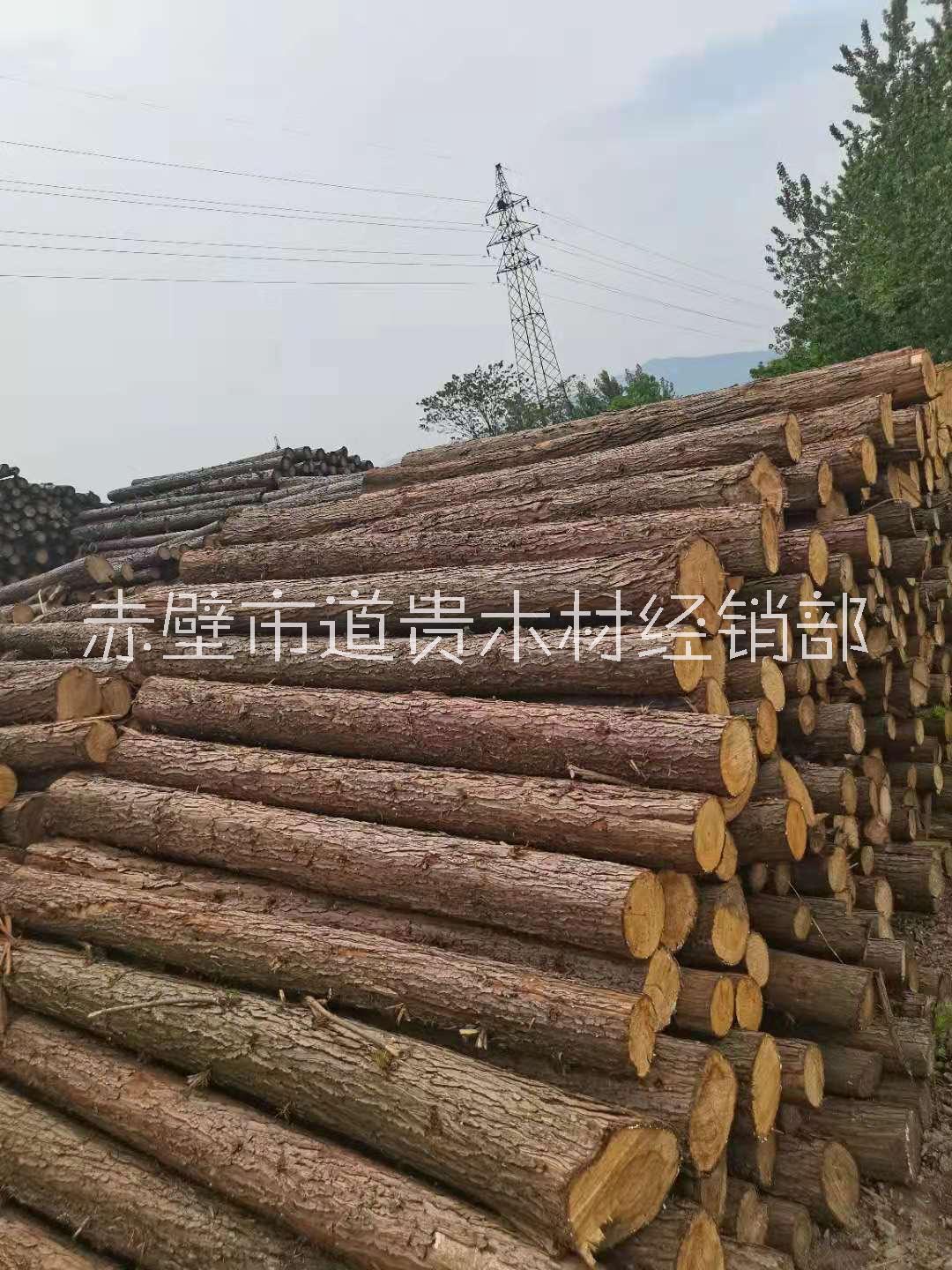 山东方木材生产厂家出厂成本价供应哪家便宜