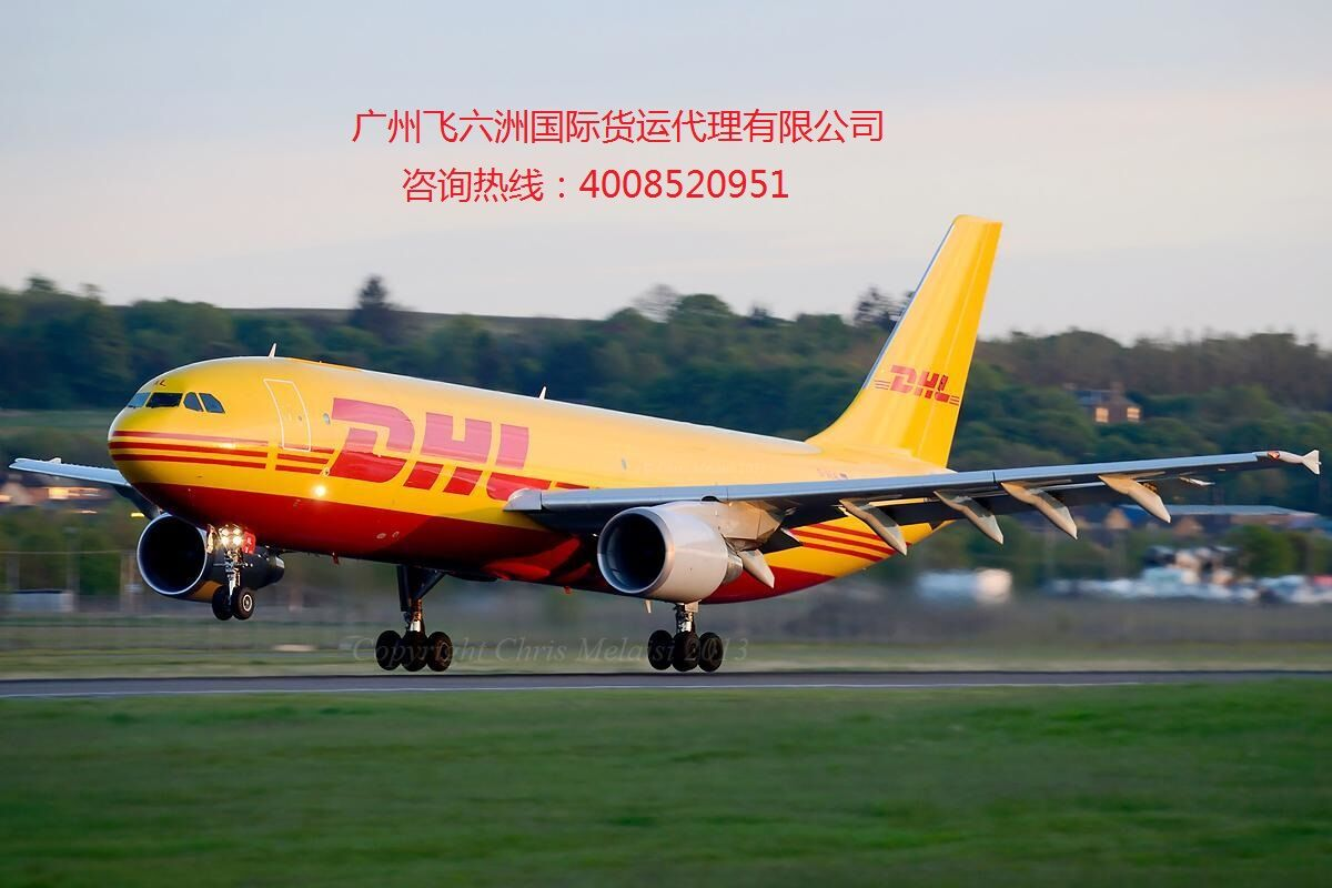 新西兰空运DHL快递专线 Fedex出口快递厂家图片