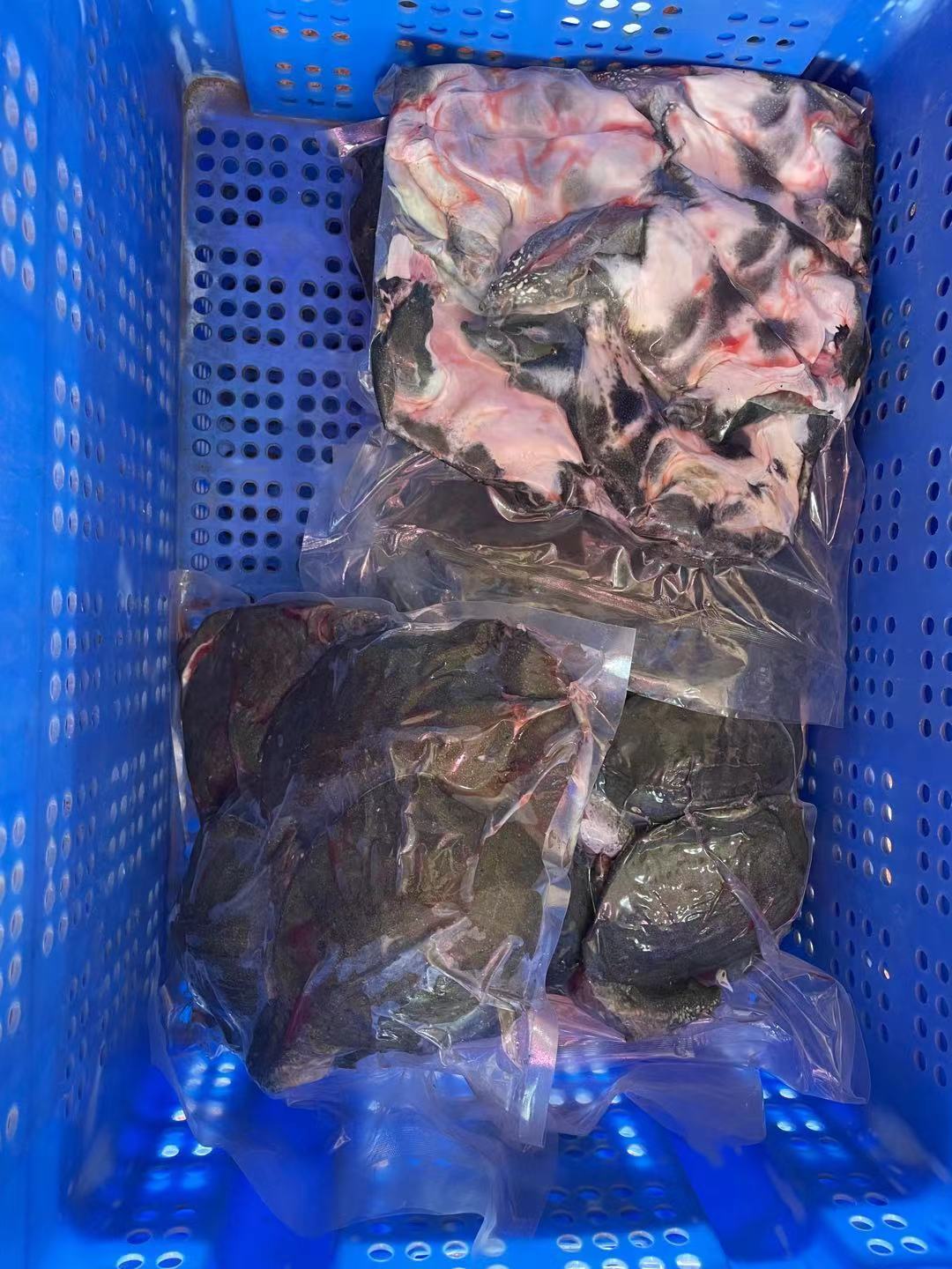 北京卤甲鱼货源批发价格多少钱一只、哪有供应卤甲鱼货源图片