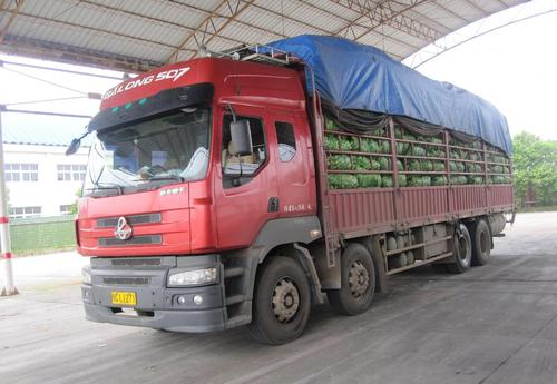 上海到湛江整车零担 大件运输 回程车调度 木箱包装服务   上海至湛江货运物流