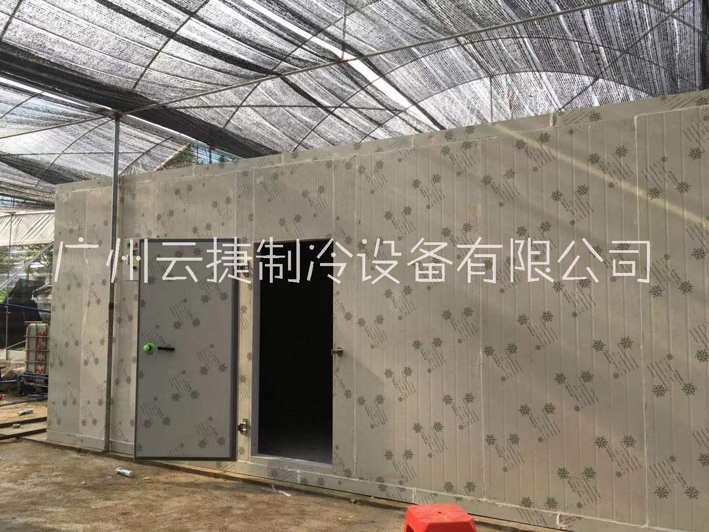 珠海蔬菜保鲜冷库设计方案建造公司联系电话