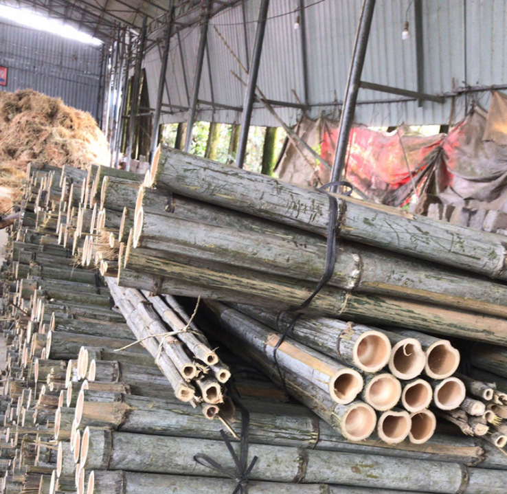 【厂家供应】竹尾 批发供应各种规格毛竹跳板 竹架板 可定制 竹尾厂家