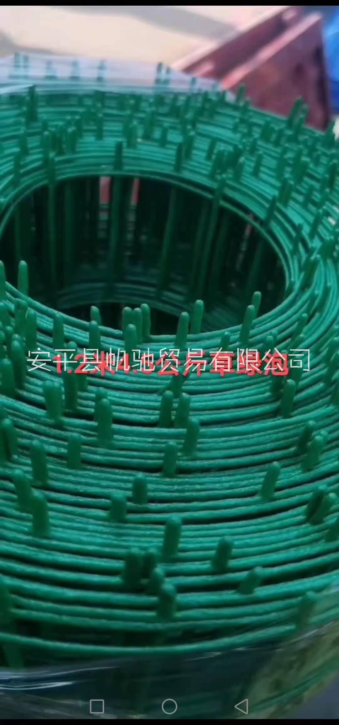 帆驰荷兰网 铁丝网养殖网围栏绿色铁丝网厂家图片
