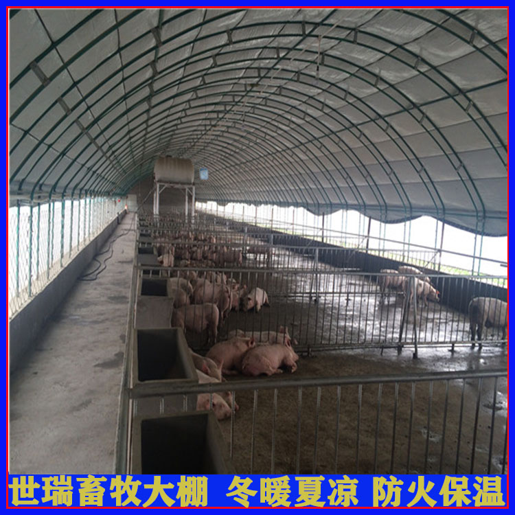 猪棚安装方法 养猪场施工建设 搭建养猪棚厂家