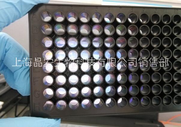 上海晶安黑色透明底96孔板 四壁黑色底部透明酶标板 四边黑色透明平底96孔板 测荧光透光96孔微孔板