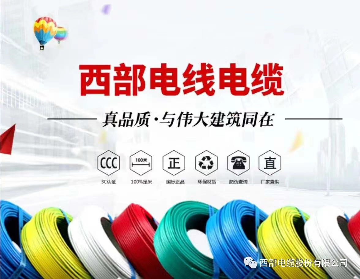 西安市陕西电线电缆-胶质线RVS厂家