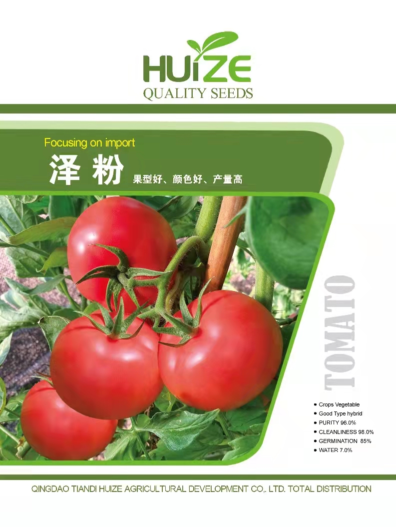 山东青岛泽粉番茄种子批发公司销售价格