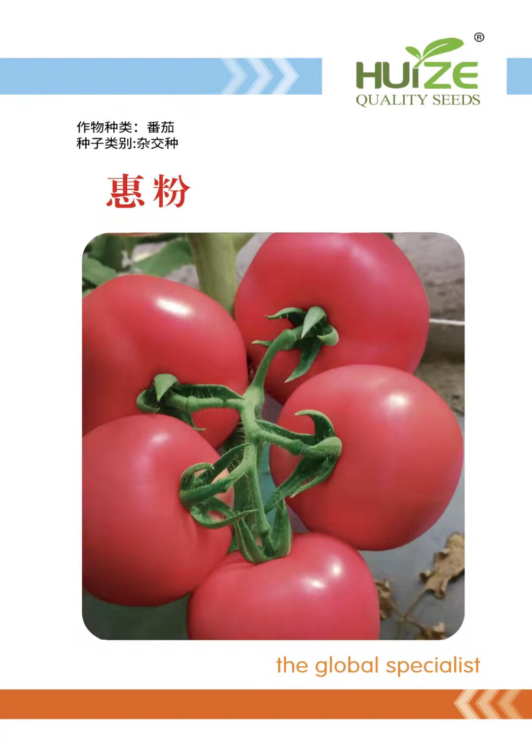 山东青岛惠粉番茄种子批发公司销售价格 惠粉种子