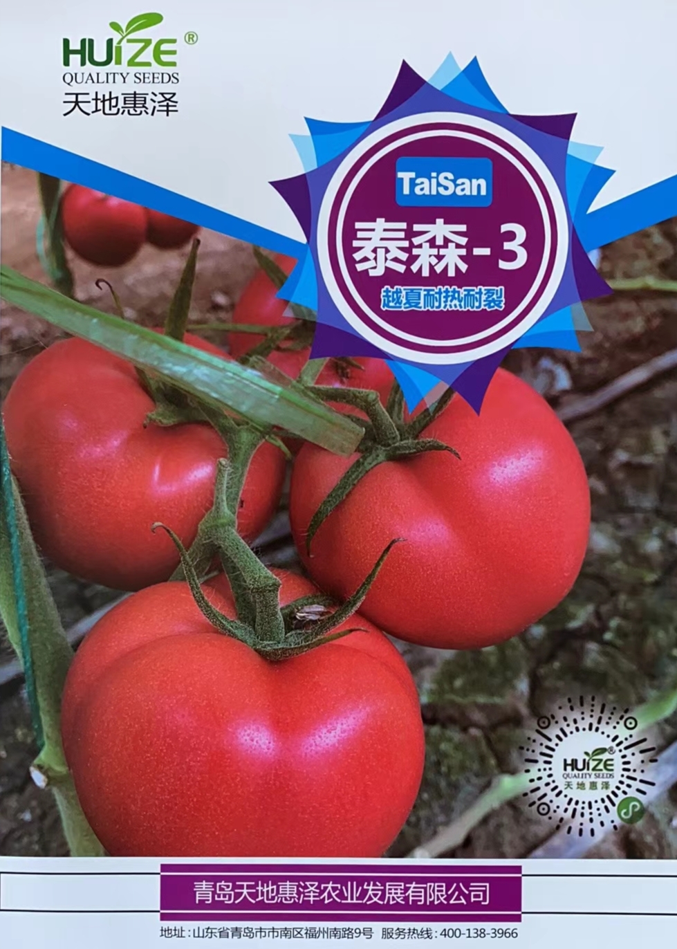 山东青岛泰森-3番茄种子批发公司销售价格 泰森-3 泰森-3种子 惠泽-泰森-3种子