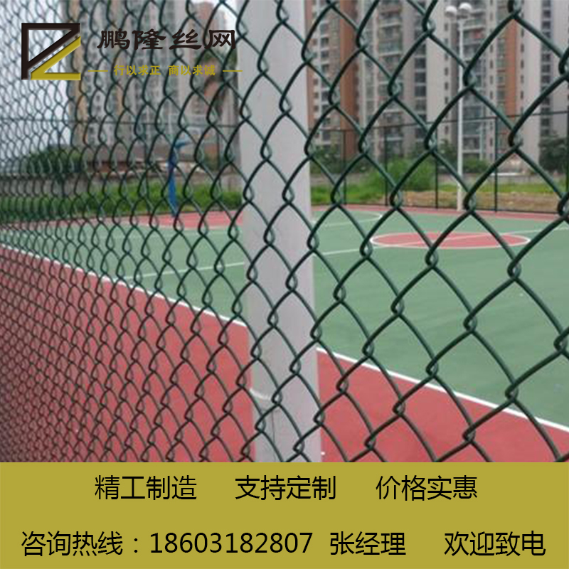 河北鹏隆 组装式球场围网 标准网球场围网 球场围网图片