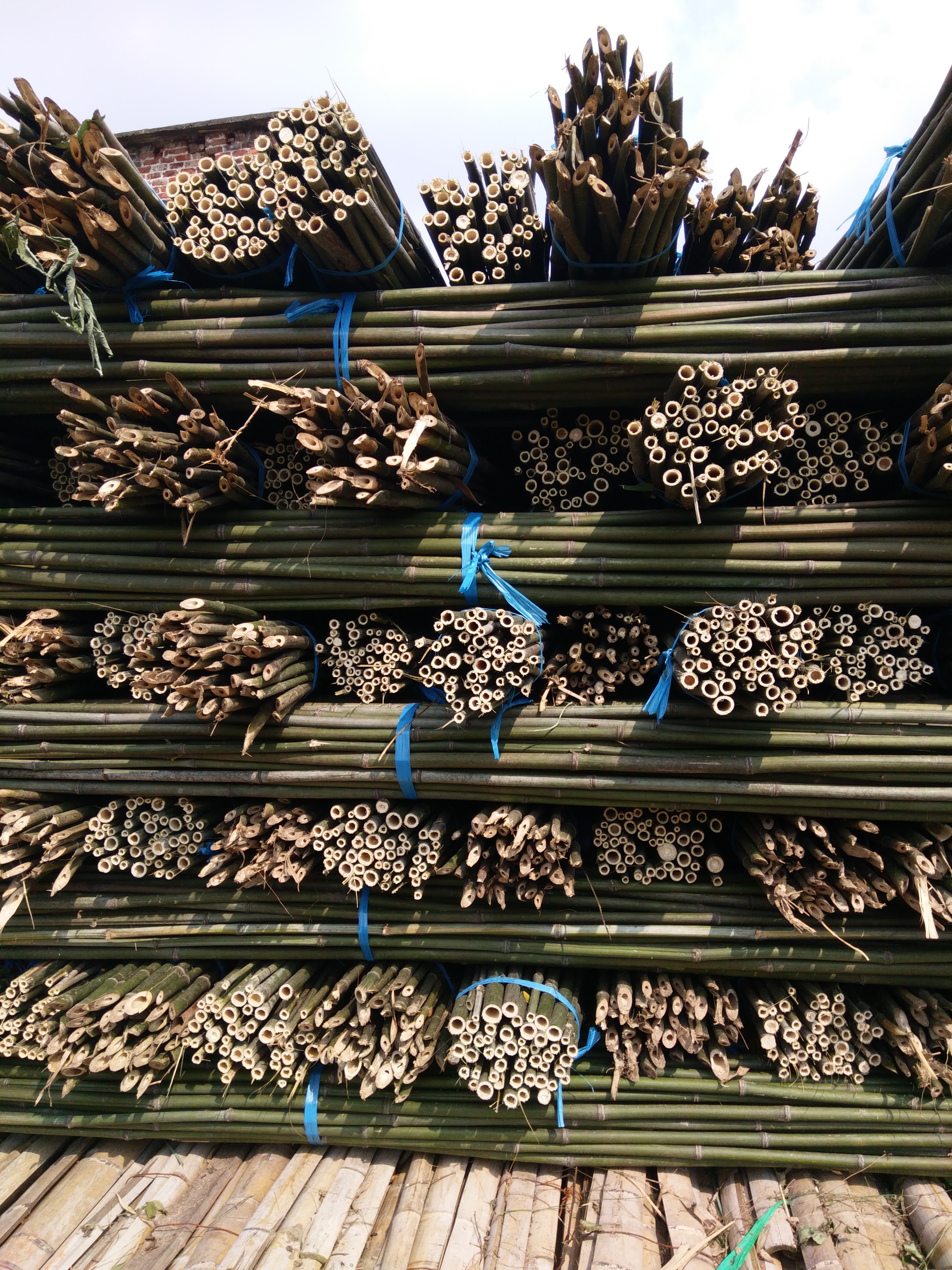 现货批发菜架长竹竿 搭架毛竹杆粗细竹子1米3米4米豆角黄瓜爬藤架 菜架竹竿