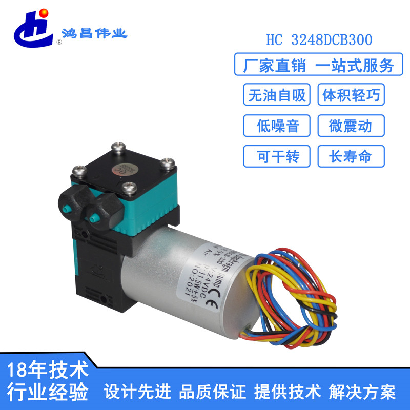 HC 3248DCB300微型液泵厂家报价 24V循环双头泵价钱图片