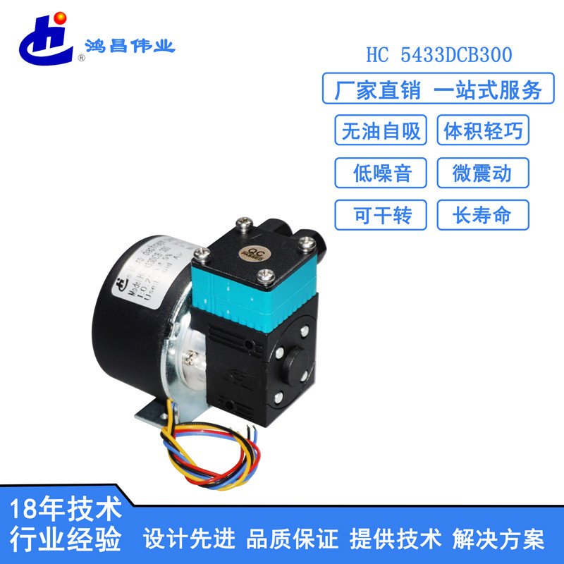 HC 5433DCB300微型液泵生产厂家 喷码机供墨泵批发