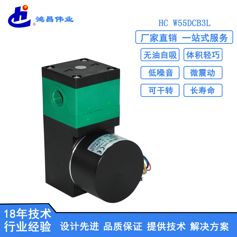 HC W55DCB3L微型液泵批发