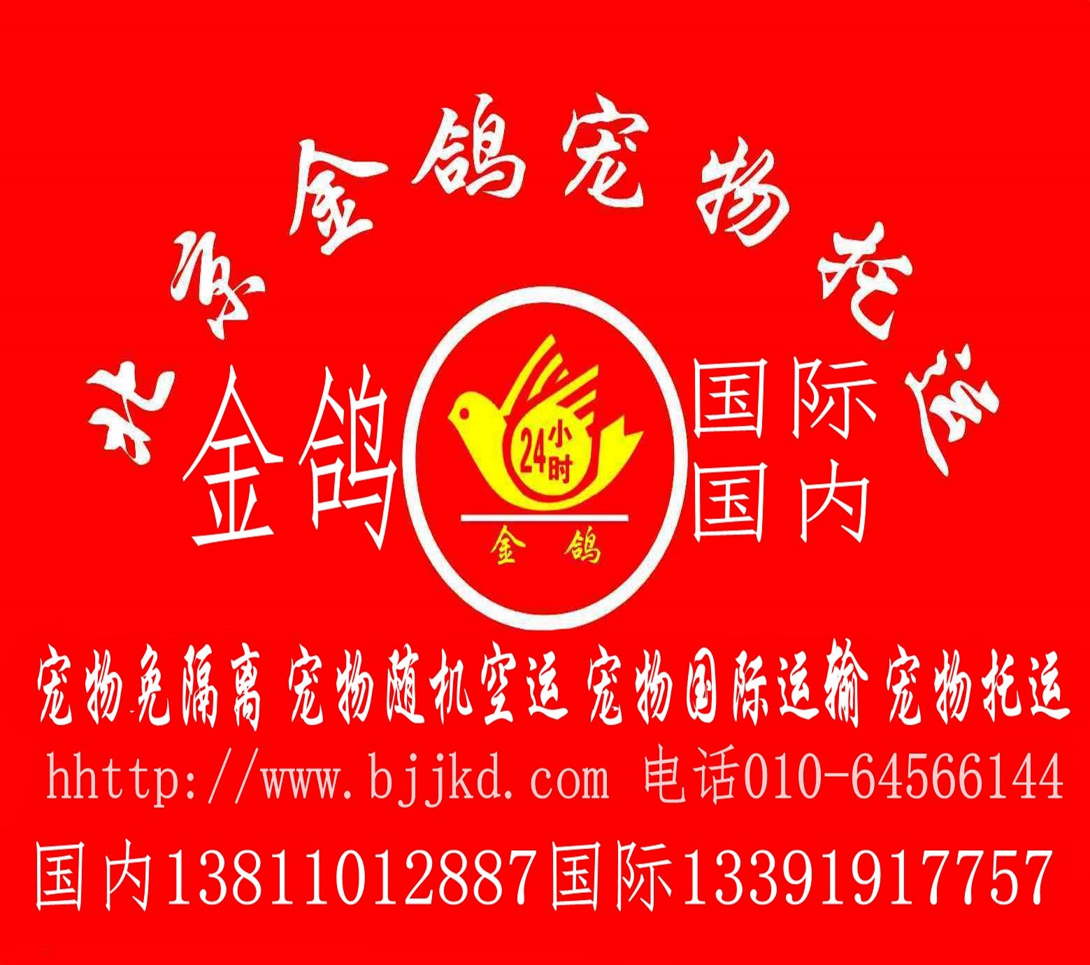 北京宠物托运 宠物空运 宠物运输 北京金鸽宠物托运 全国宠物托运