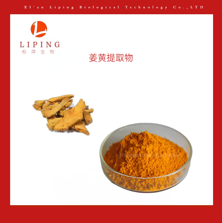 栎萍生物现货供应 姜黄提取物  姜黄素95%  姜黄粉