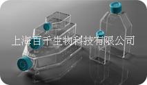 上海百千定制低吸附细胞培养瓶 低粘附性75cm2细胞培养瓶 t25t75低细胞贴壁/蛋白吸附/酶活性