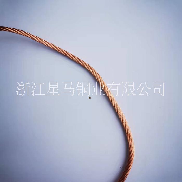 温州市裸铜绞线 铜绞线 编织线厂家裸铜绞线 铜绞线 编织线 6平方0.05 0.1tjr  软连接接地厂家定做