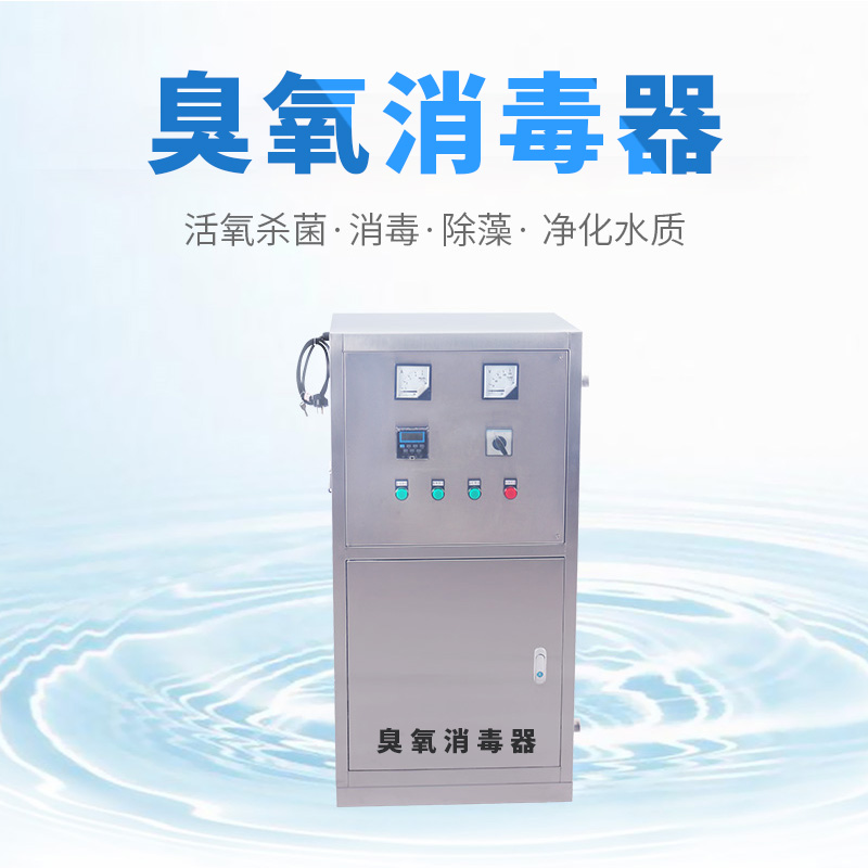 外置式水箱自洁臭氧消毒器外置式水箱循环杀菌设备