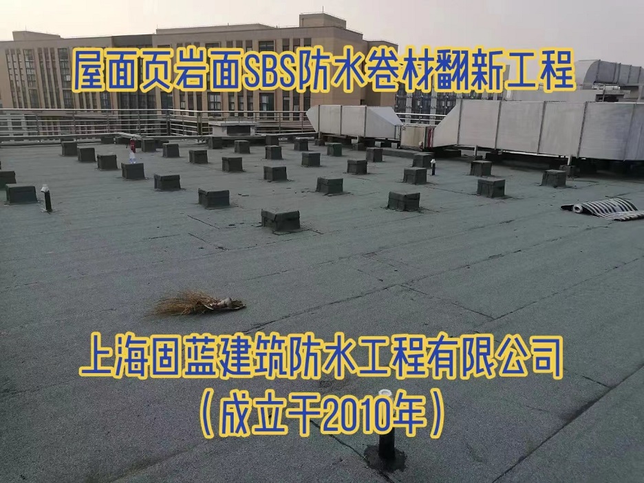 屋面渗漏水（页岩面）SBS防水卷材翻新公司上海固蓝建筑防水图片