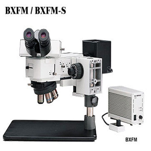 bxfm小型系统显微镜批发