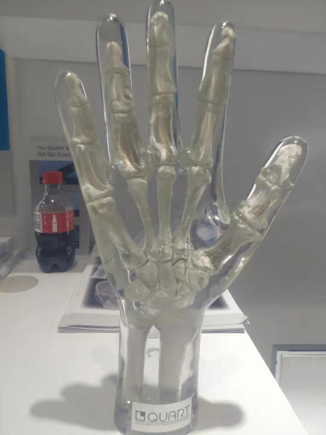 X射线手部模体手部模体