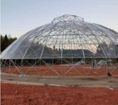 球形温室 鸟巢温室大棚 旅游景区农业观光大棚玻璃薄膜球形穹顶大棚