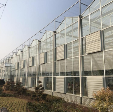 纹络玻璃温室 承建玻璃温室 现代农业玻璃温室大棚 外形美观 保温效果好