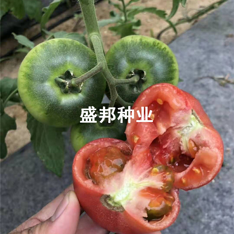 戴安娜口感柿子   草莓番茄 水果番茄 单果重80-150g 戴安娜口感西红柿图片