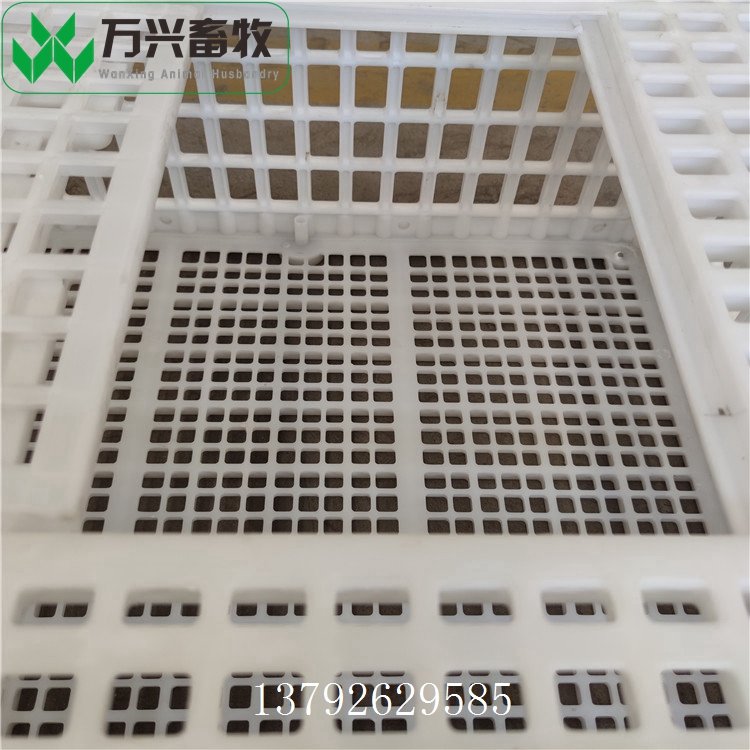 潍坊市塑料鸡笼厂家塑料鸡笼 塑料成鸡筐