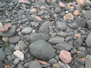 园林景观河滩石哪里便宜  园林景观河滩石多少钱