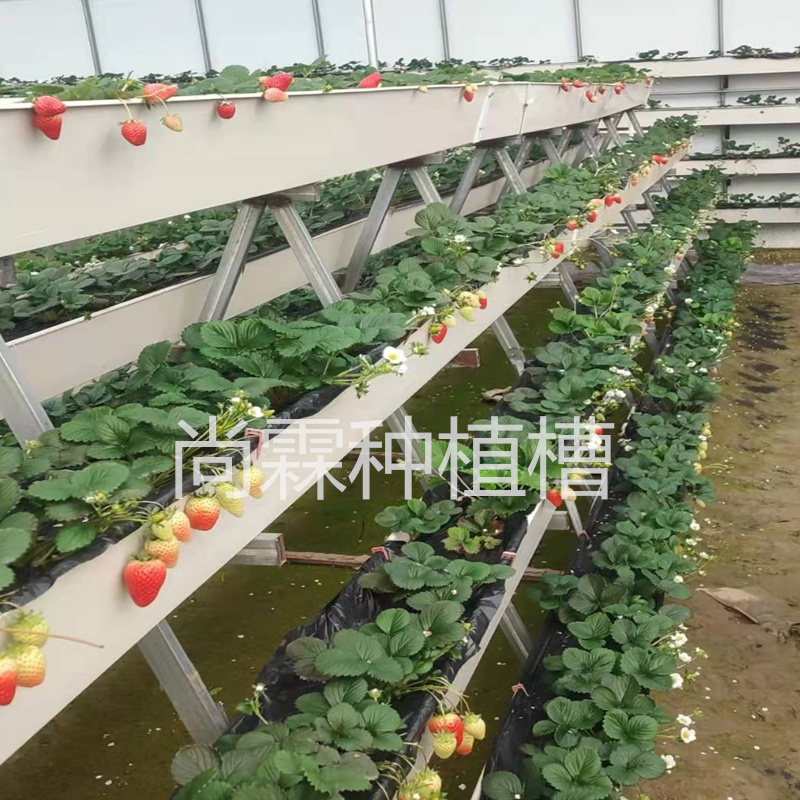 高架无土栽培槽 大棚草莓种植槽 立体种植架厂家