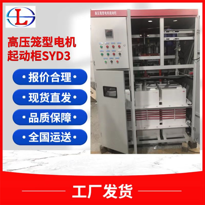 襄樊高压笼型电机 液体水阻柜图片