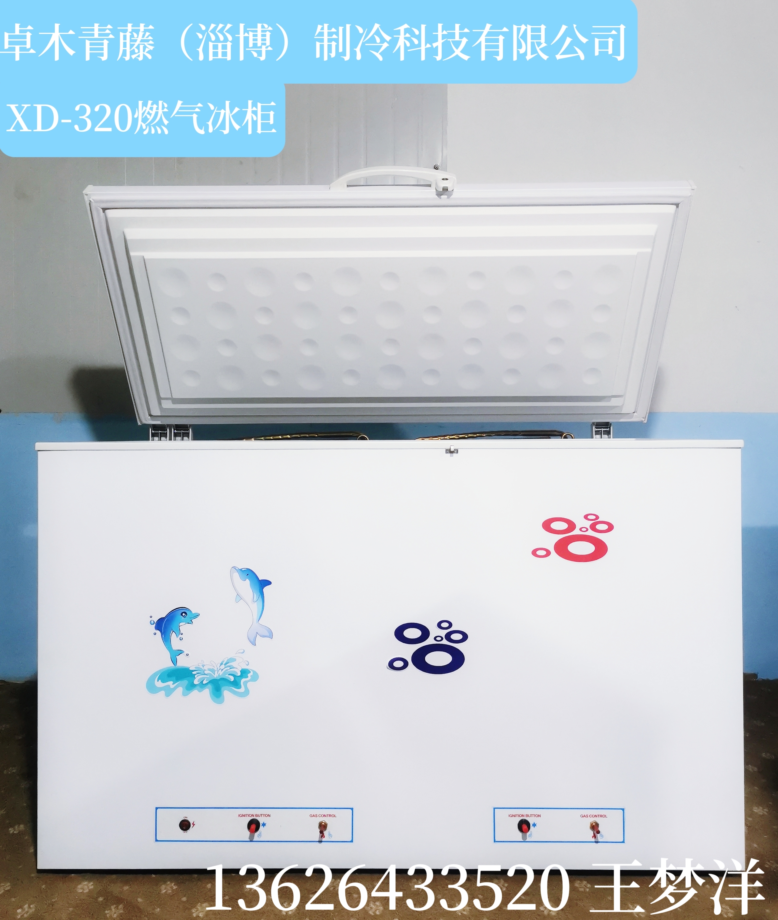 大容量燃气式冰箱冰柜XD-320 出口多个国家