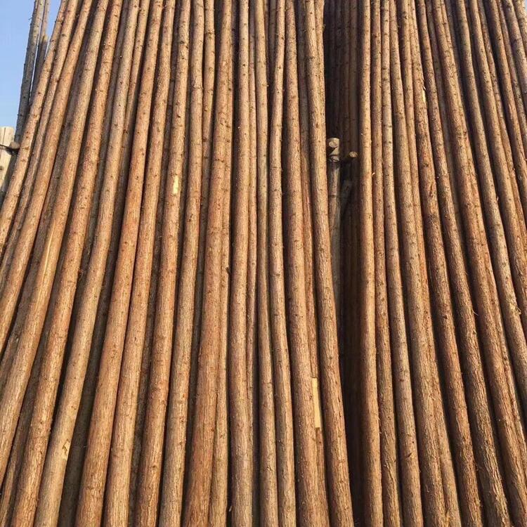 6米杉木杆 绿化支撑杆 圆形杉木杆 6米松木桩 桩木杉 6米绿化杆
