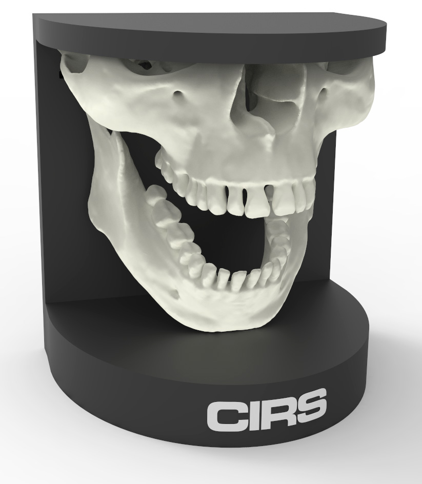 美国CIRS 134200牙科口腔模体图片