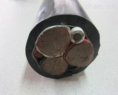 垃圾吊电缆  高强度耐扭转  抗拉 耐磨  聚氨酯PUR护套图片