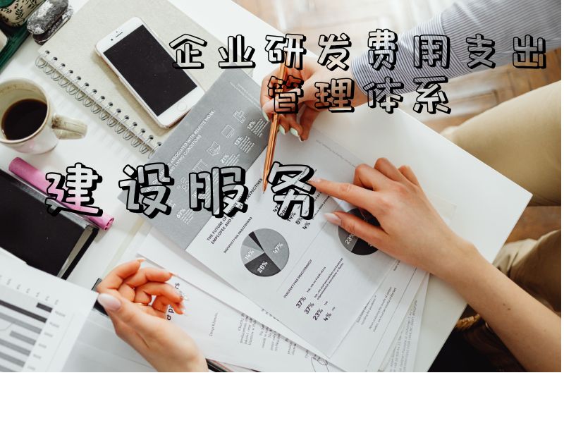 企业研发费用支出管理体系建设服务