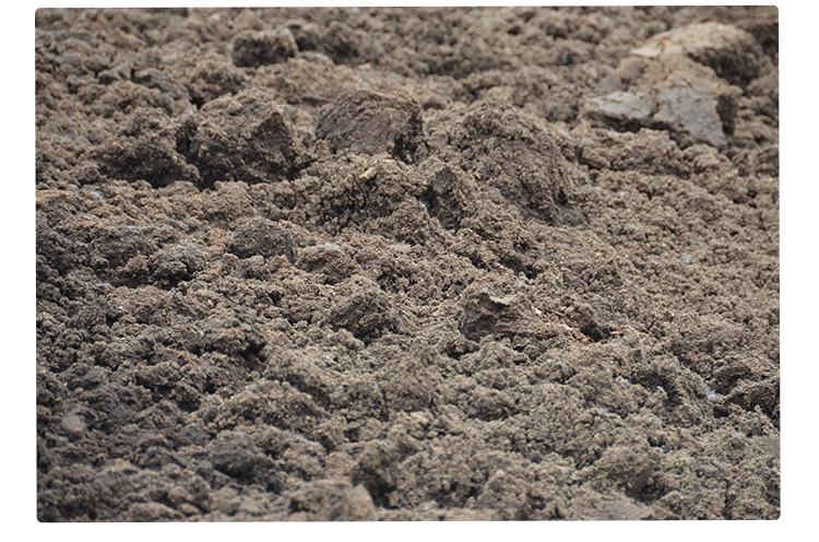 有机肥原料木薯渣供应有机肥原料木薯渣