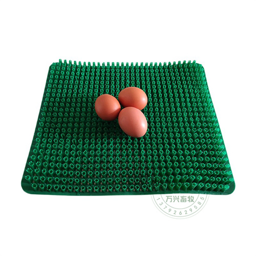 供应万兴畜牧鸡舍鸡场用鸡蛋窝塑料草垫 规格30×36cm