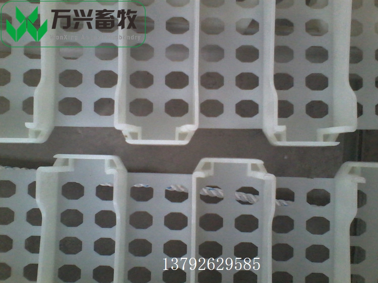 潍坊市供应万兴畜牧鸡鸭鹅舍鸡用塑料漏粪地板 规格1200×500×40厂家