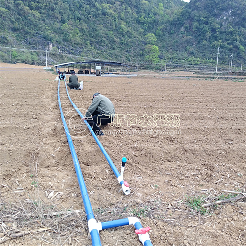 广西有几家公司做滴灌设计安装的 有卖灌溉设备