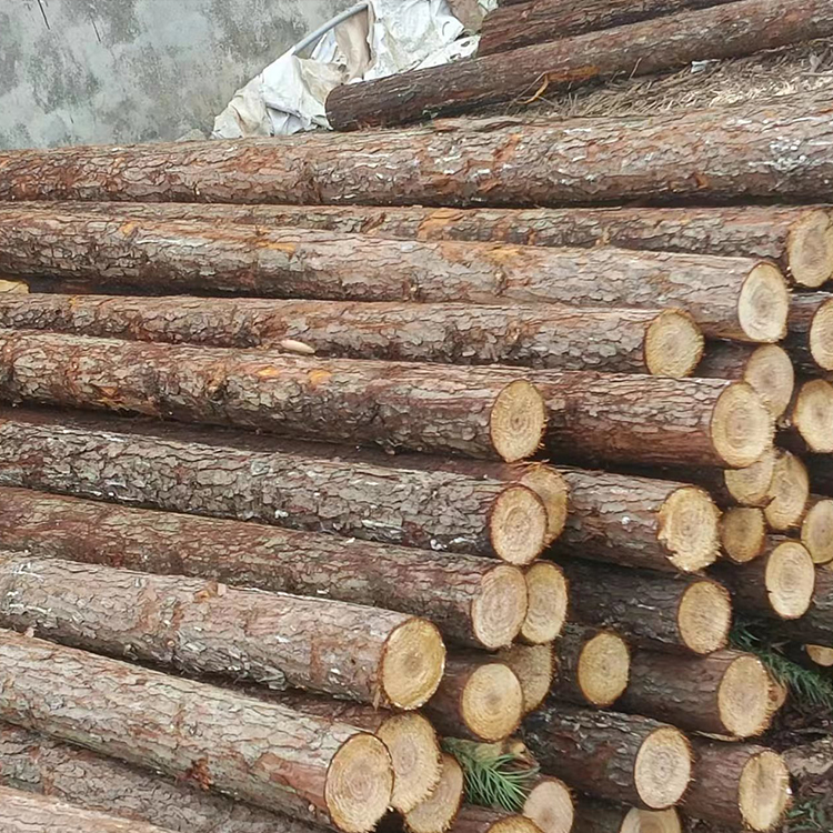杉木桩批发 杉木桩 河道打桩杉木桩  杉木桩厂家