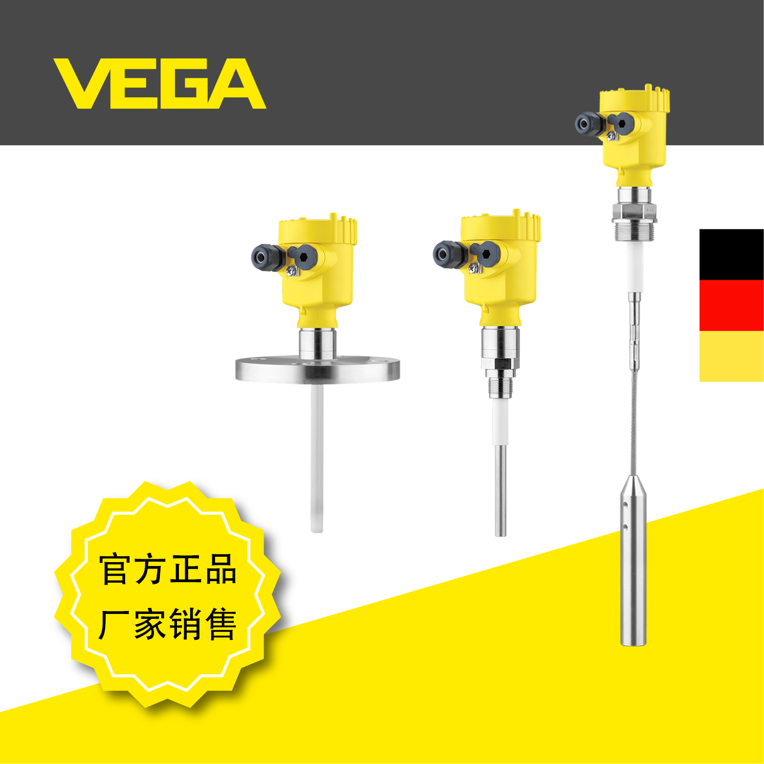 威格VEGACAP 62/63/65电容式限位开关 德国进口 棒式 缆式 限位测量 电容式开关