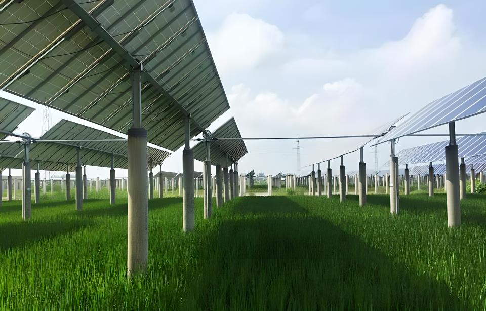 承建各种太阳能农光互补电站-EPC总包施工-施工方案