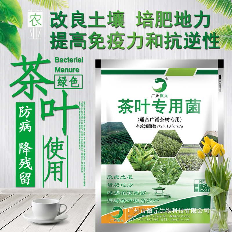 茶叶微生物菌肥功能菌 复合芽孢杆菌 改良土壤促进茶芽萌发